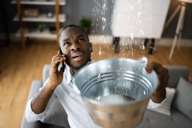 Best Basement water damage restoration  in Yonkers, NY