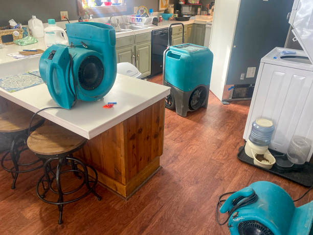 Best Water damage contractors near me  in Yonkers, NY