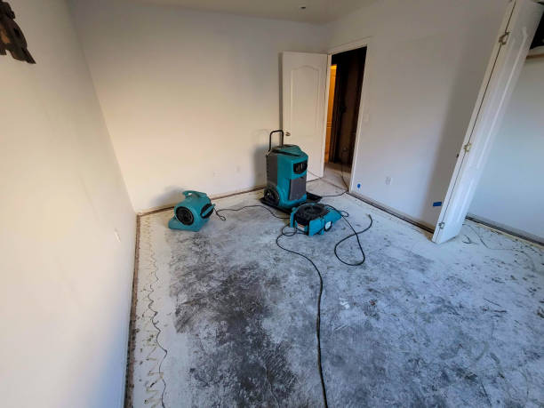 Best Ceiling water damage repair  in Yonkers, NY
