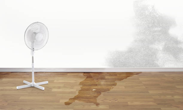 Best Flood damage cleanup  in Yonkers, NY