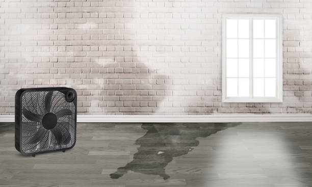 Best Water damage restoration services  in Yonkers, NY