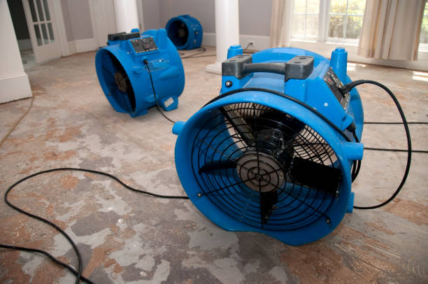 Best Carpet water damage restoration  in Yonkers, NY