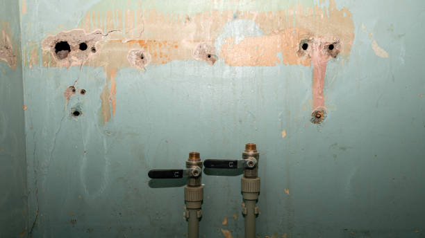 Best 24-hour water damage restoration  in Yonkers, NY