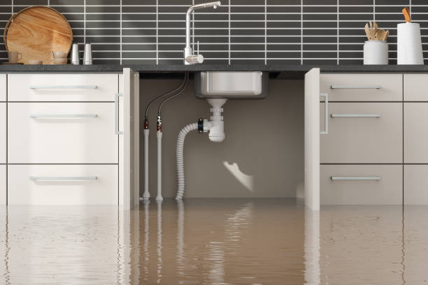 Best Ceiling water damage repair  in Yonkers, NY