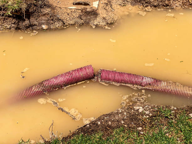  Yonkers, NY Water damage restoration Pros