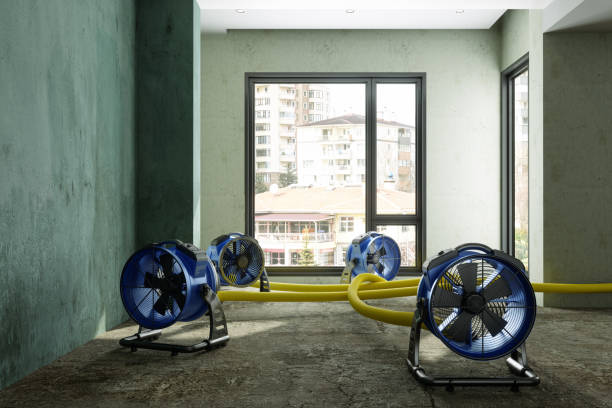 Best Residential water damage restoration  in Yonkers, NY